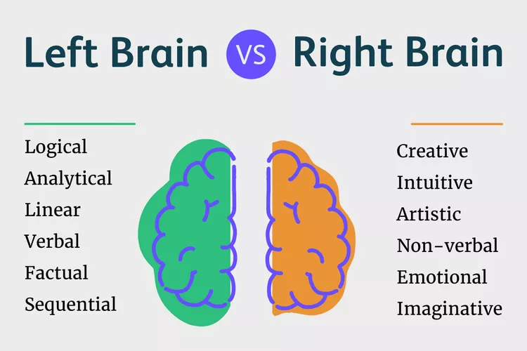 MIND-Left-Brain-Right-Brain-0dcedb51e984415bbb35a4b6a05b8e7e