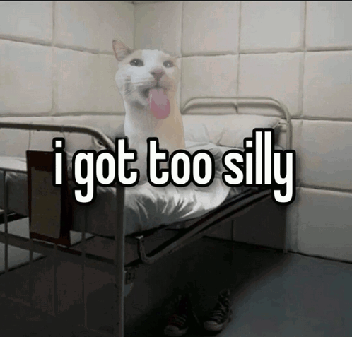 i-got-too-silly-silly