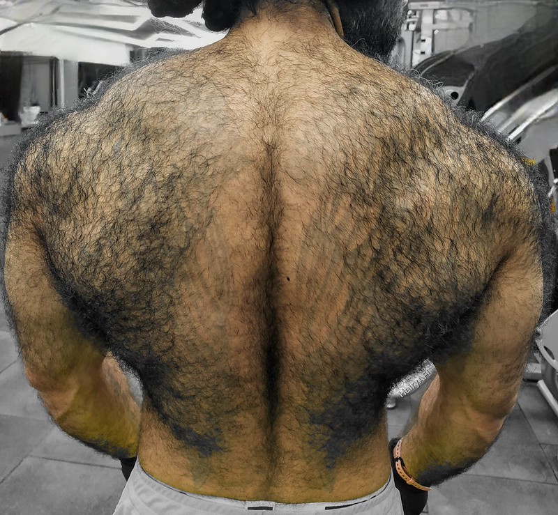 51960813088_4803872826_c