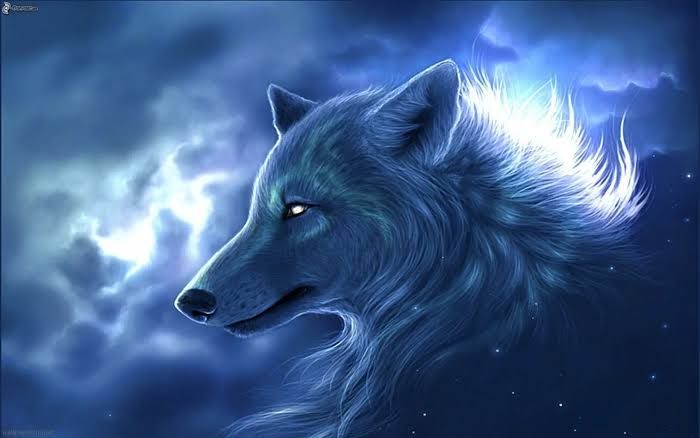 images (20)